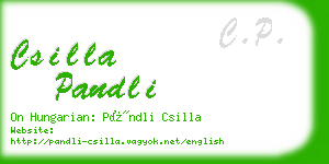 csilla pandli business card